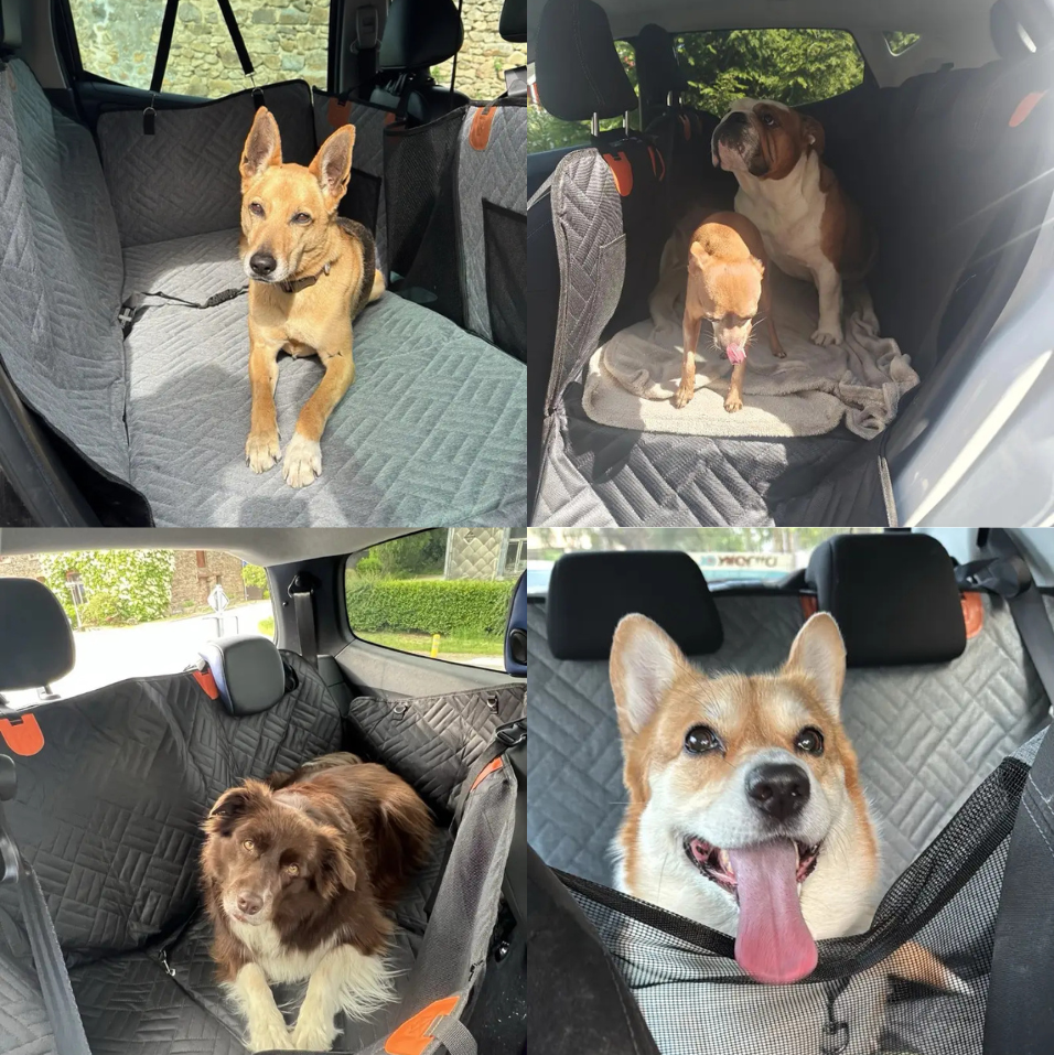 RideBox : Housse auto rigide pour chien