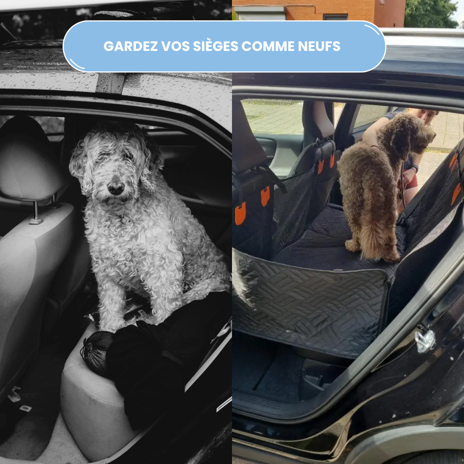 RideBox : Housse auto rigide pour chien