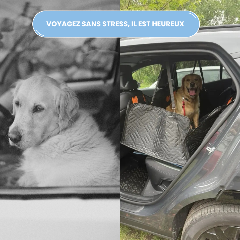RideBox : Housse auto rigide pour chien