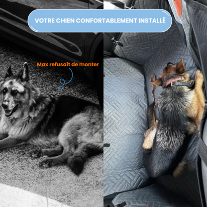 RideBox : Housse auto rigide pour chien