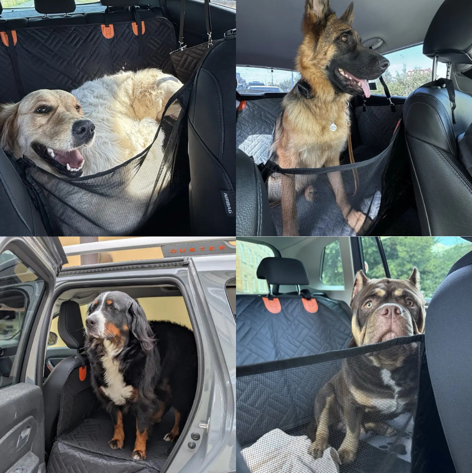 RideBox : Housse auto rigide pour chien