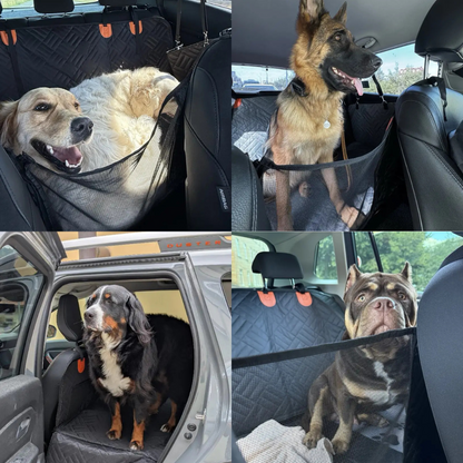 RideBox : Housse auto rigide pour chien