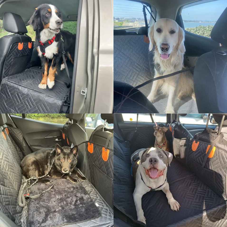 RideBox : Housse auto rigide pour chien