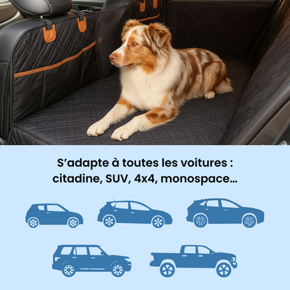 RideBox : Housse auto rigide pour chien