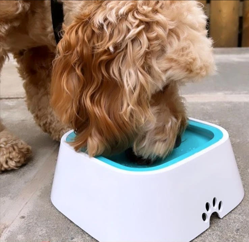 WoofyBowl : Gamelle anti-éclaboussures