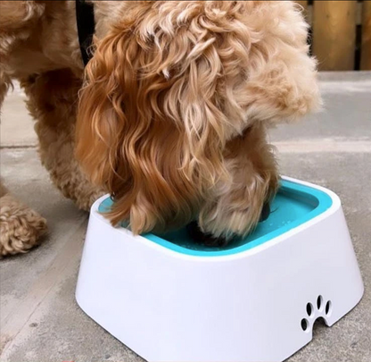 WoofyBowl : Gamelle anti-éclaboussures