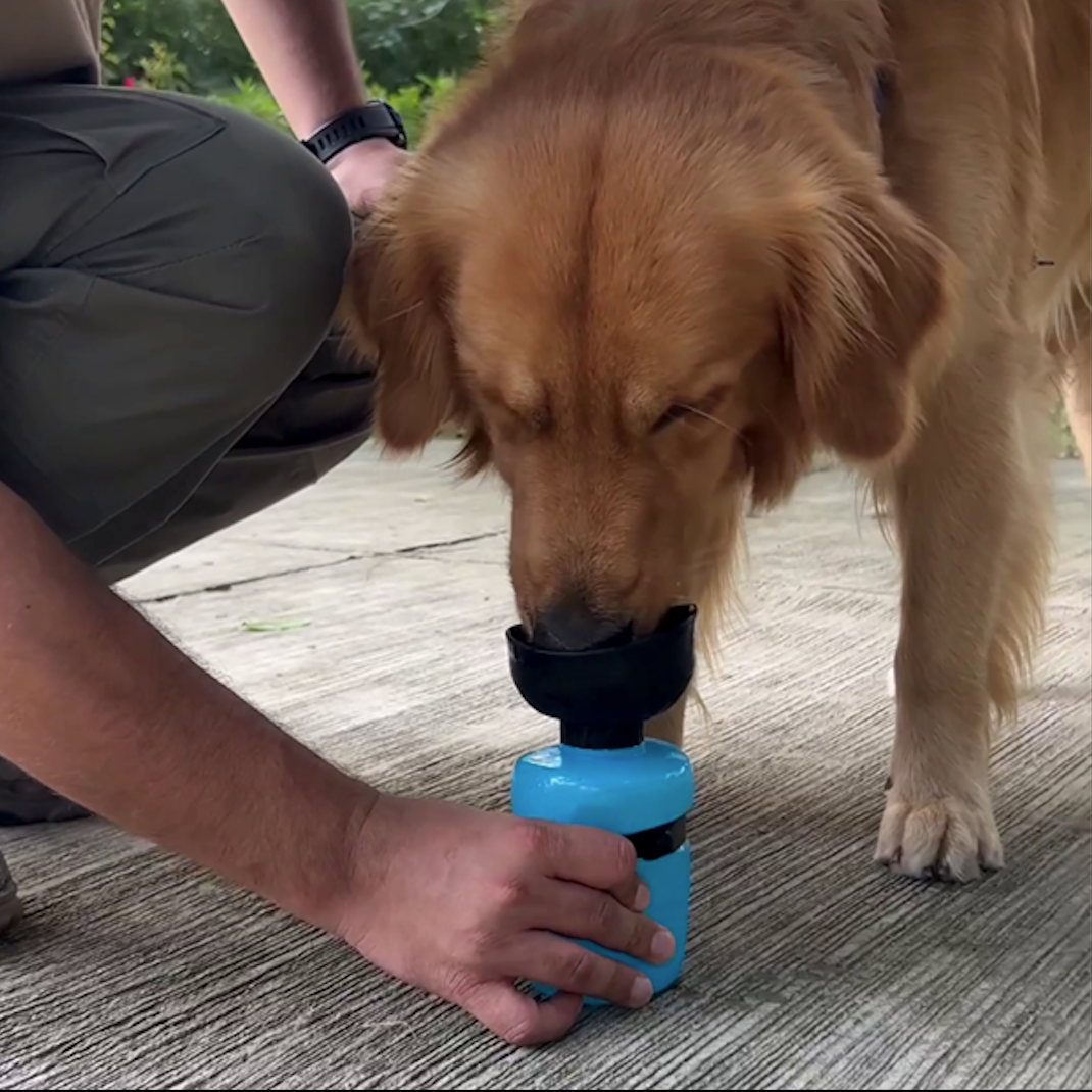 DoggyBottle : Bouteille d'eau de voyage pour chien