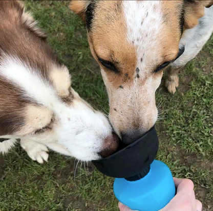 DoggyBottle : Bouteille d'eau de voyage pour chien