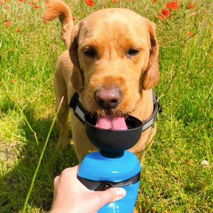 DoggyBottle : Bouteille d'eau de voyage pour chien