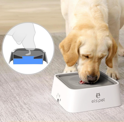 WoofyBowl : Gamelle anti-éclaboussures