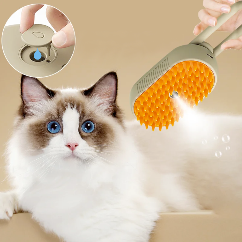PurrSteam : Brosse à vapeur