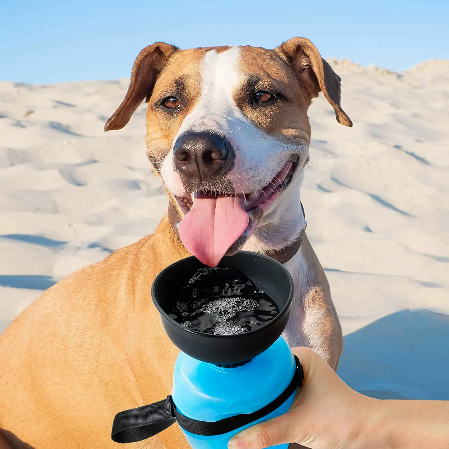DoggyBottle : Bouteille d'eau de voyage pour chien