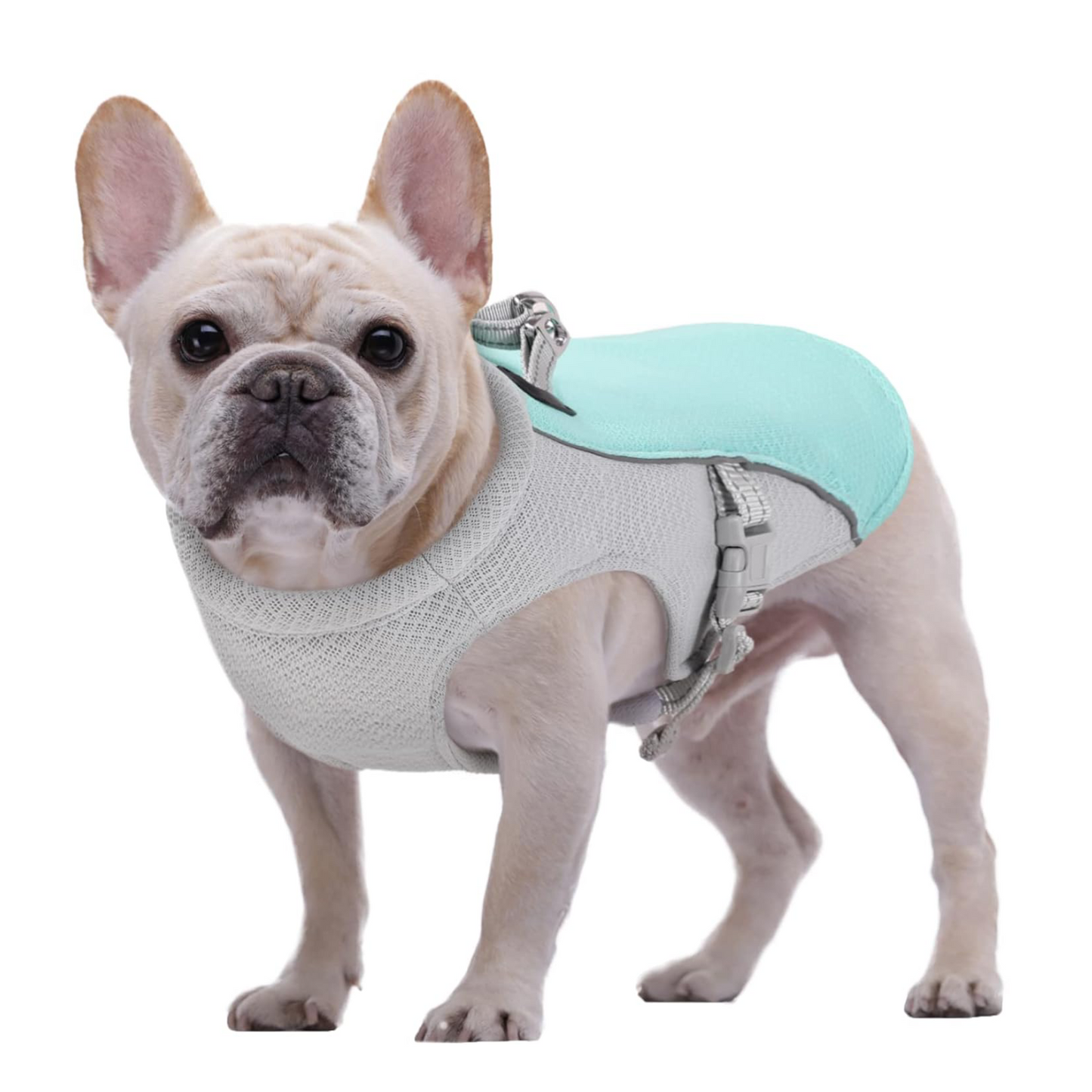 FrostyFur : Harnais rafraîchissant pour chien