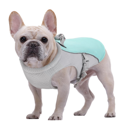 FrostyFur : Harnais rafraîchissant pour chien